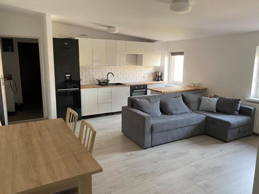 Apartament W Malowniczej Sosnowce Sosnowka  Luaran gambar